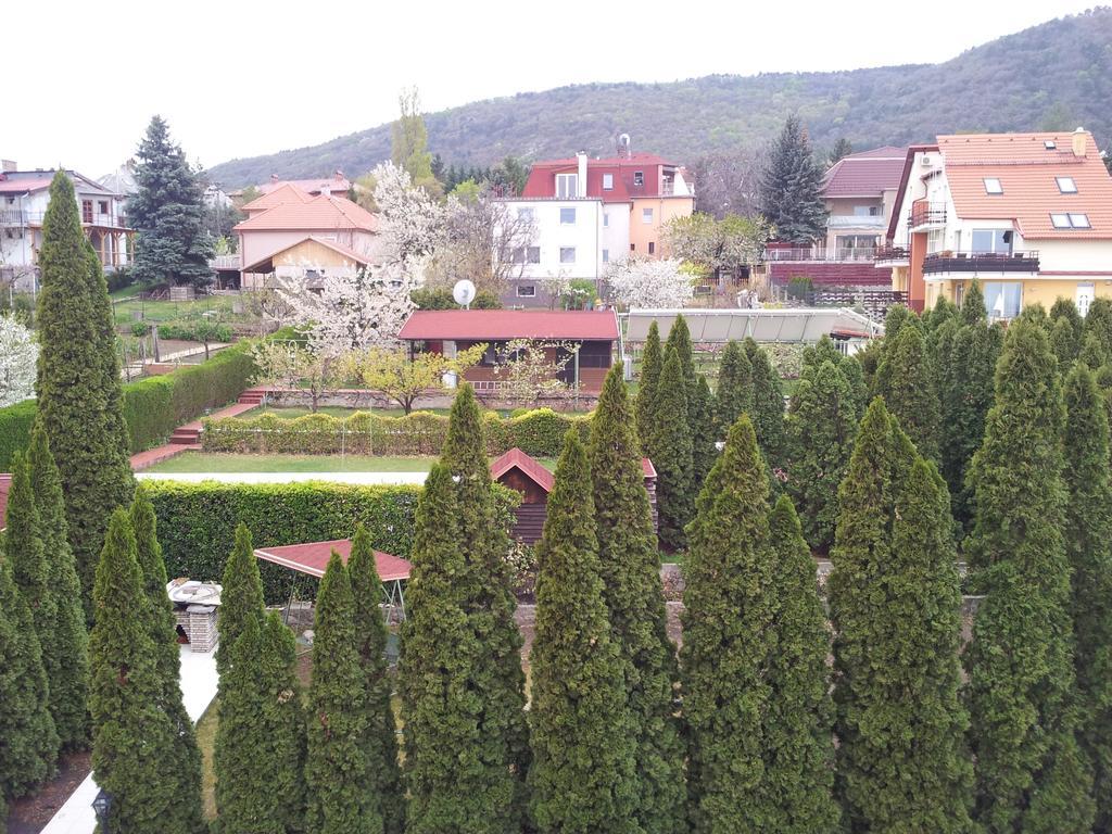 Agi Panzio Obuda Bed & Breakfast Будапеща Екстериор снимка